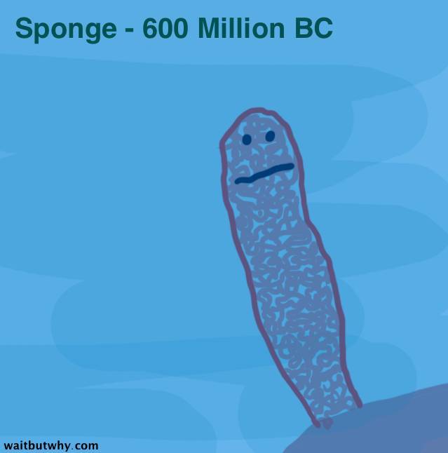 640.jpeg