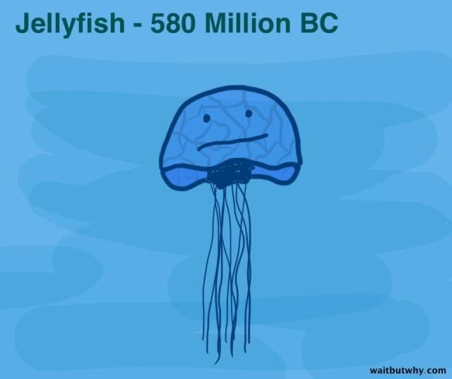 640.jpeg