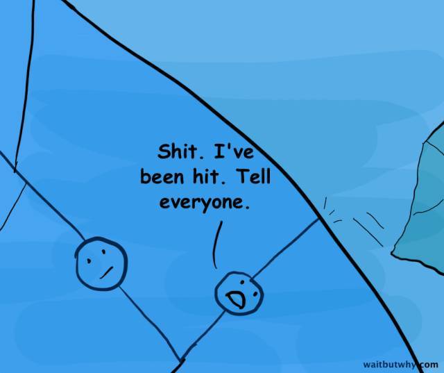 640.jpeg
