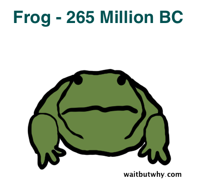 640.png