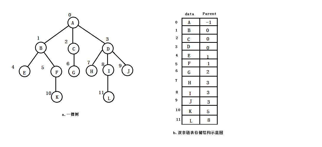 双亲链表存储结构示意图