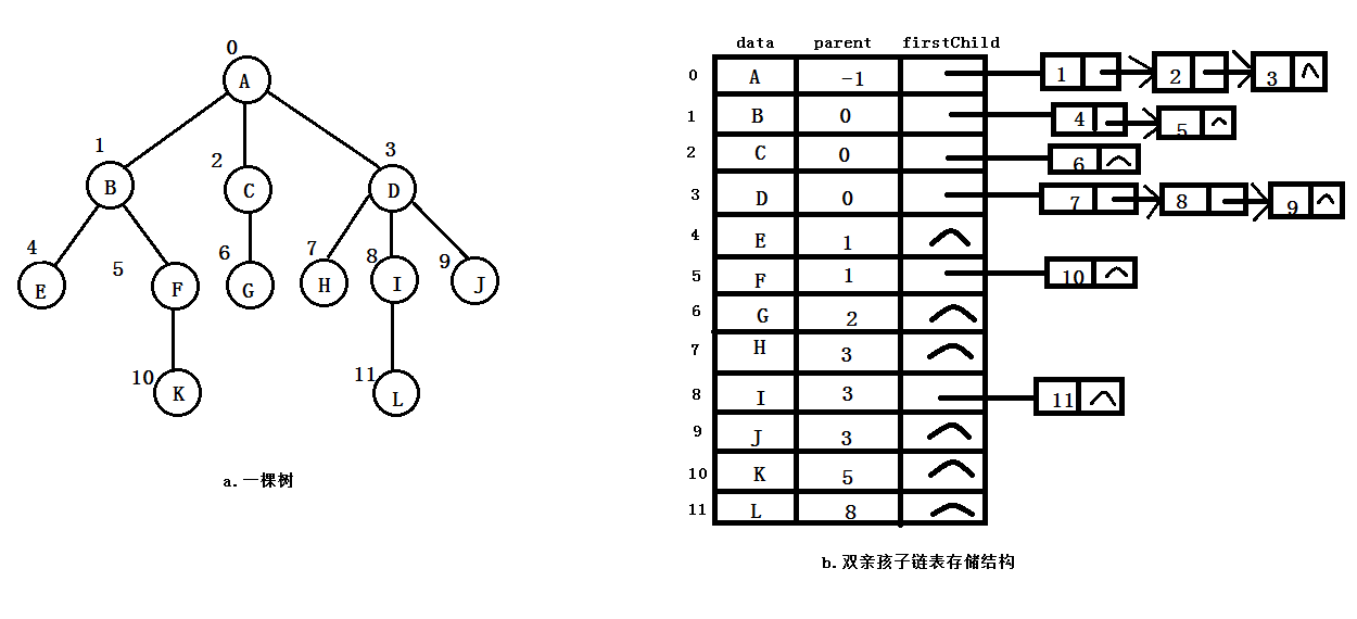 双亲孩子链表存储结构示意图