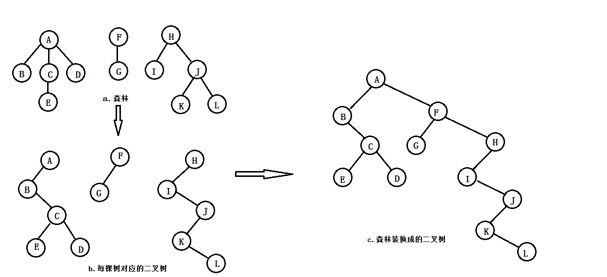 森林转化为二叉树的过程示意图