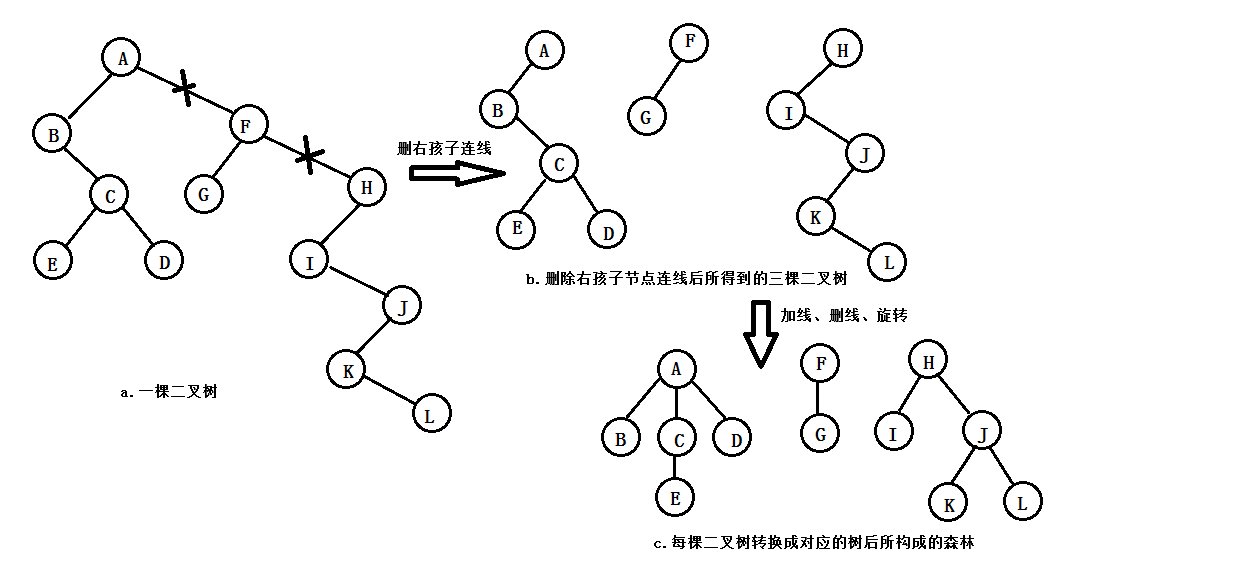二叉树转化为森林的过程