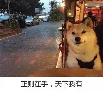爬数据，能让你少写1000行代码的捷径！ | Python 正则表达式