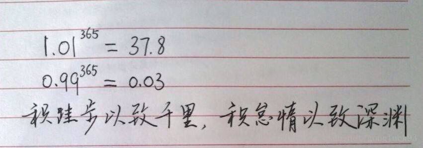 积跬步以至千里
