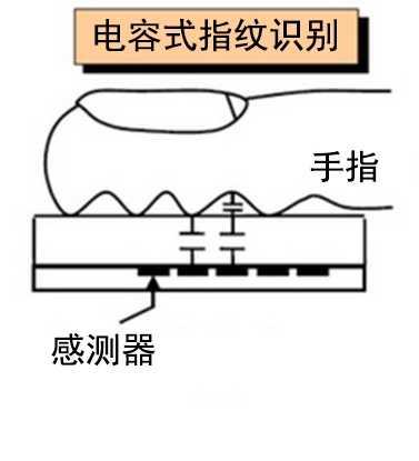 与Python一样简单学,另类方式实现指纹识别系统(附整个项目源码)