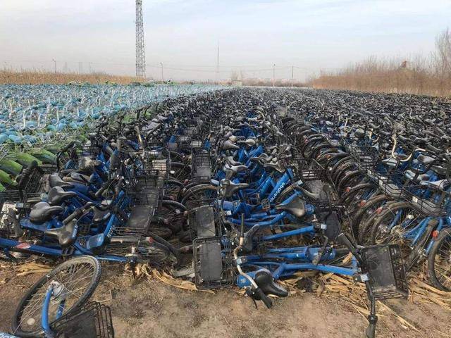 共享单车第一镇被拖垮，留下什么反思？