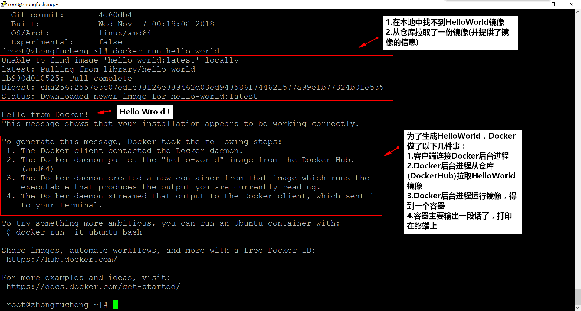Docker中的HelloWorld
