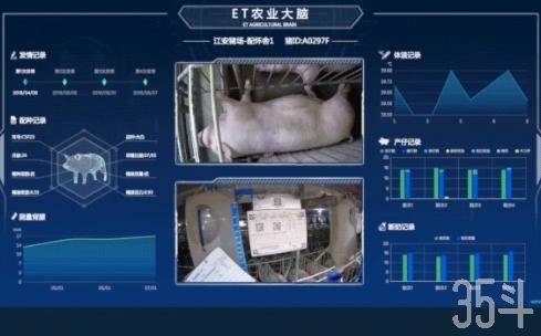 微信图片_20190618013023.png