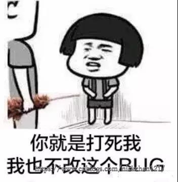 48装饰器-bug.jpg?x-oss-process=style/watermark