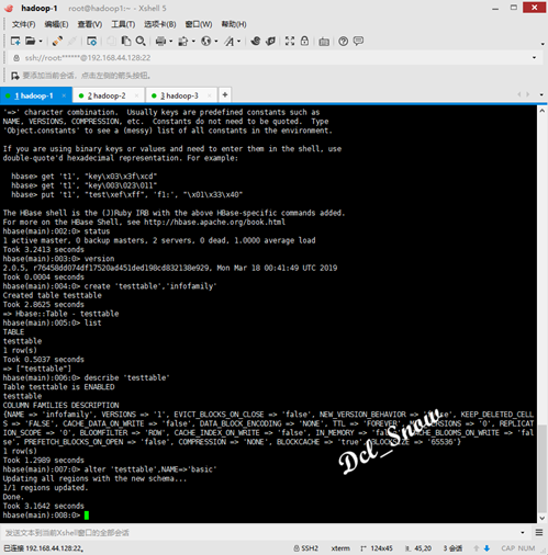 hbaseshell009