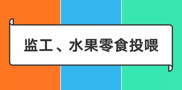 揭秘阿里、腾讯、字节跳动在家办公的区别