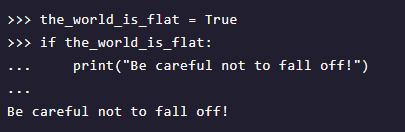 python 3 的解释器