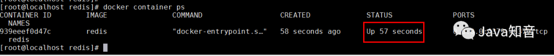 开发机直连 Docker 中的 Redis 容器小教程