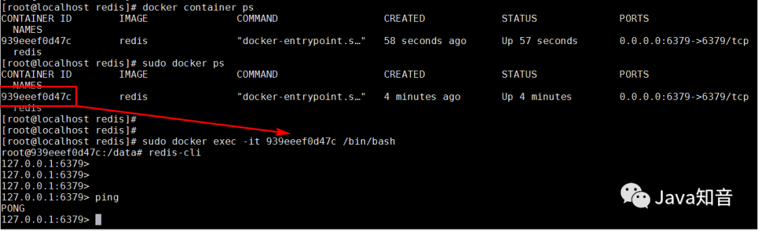 开发机直连 Docker 中的 Redis 容器小教程