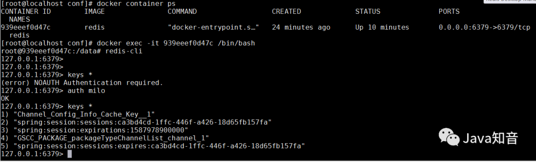 开发机直连 Docker 中的 Redis 容器小教程