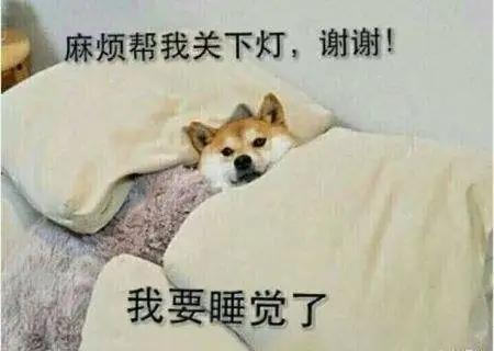 最近在面试的,应该都不好过吧
