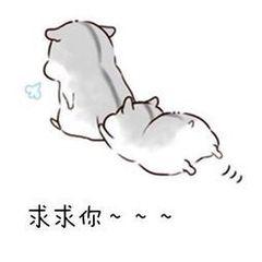 入职四个月后,我当了一回面试官,面试了一名二本院校学生