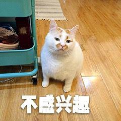 入职四个月后,我当了一回面试官,面试了一名二本院校学生