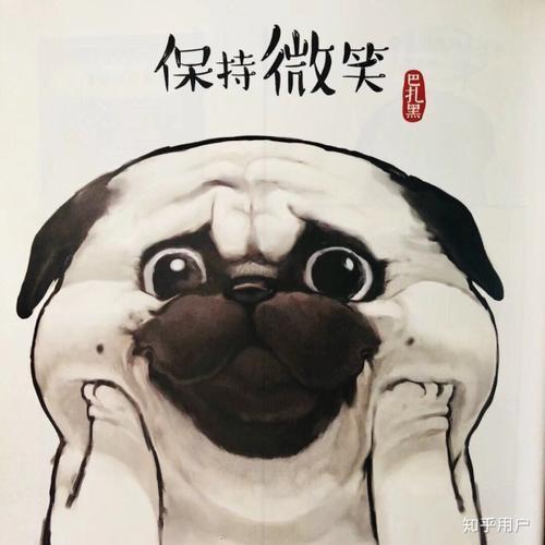 5月,我面试了30多号人,写了些总结