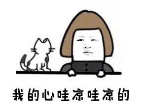 MySQL 怎样回答才能拿到更高薪水