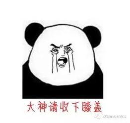 面试这五六十个号人,才发现超过90%的人根本没有吃透RocketMQ