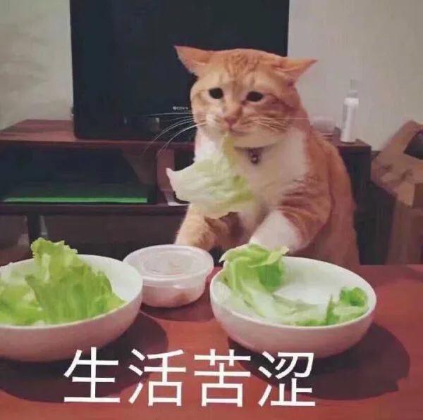 面试了一位6年的Java,面试到这样的"大佬”,真的太难了
