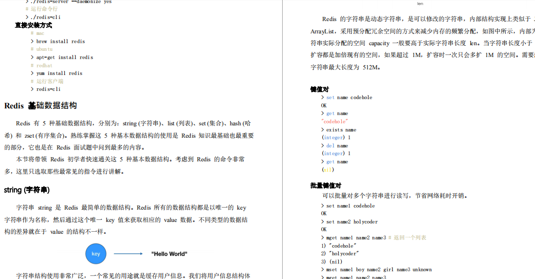 知其然也知其所以然,Redis笔记总结:核心原理与应用实践
