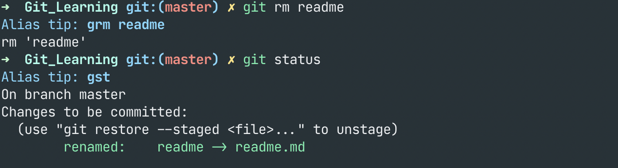 git_mv_old2