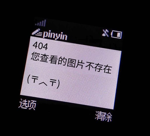生成结果