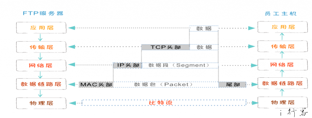 网络协议
