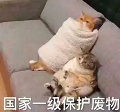 我好菜啊