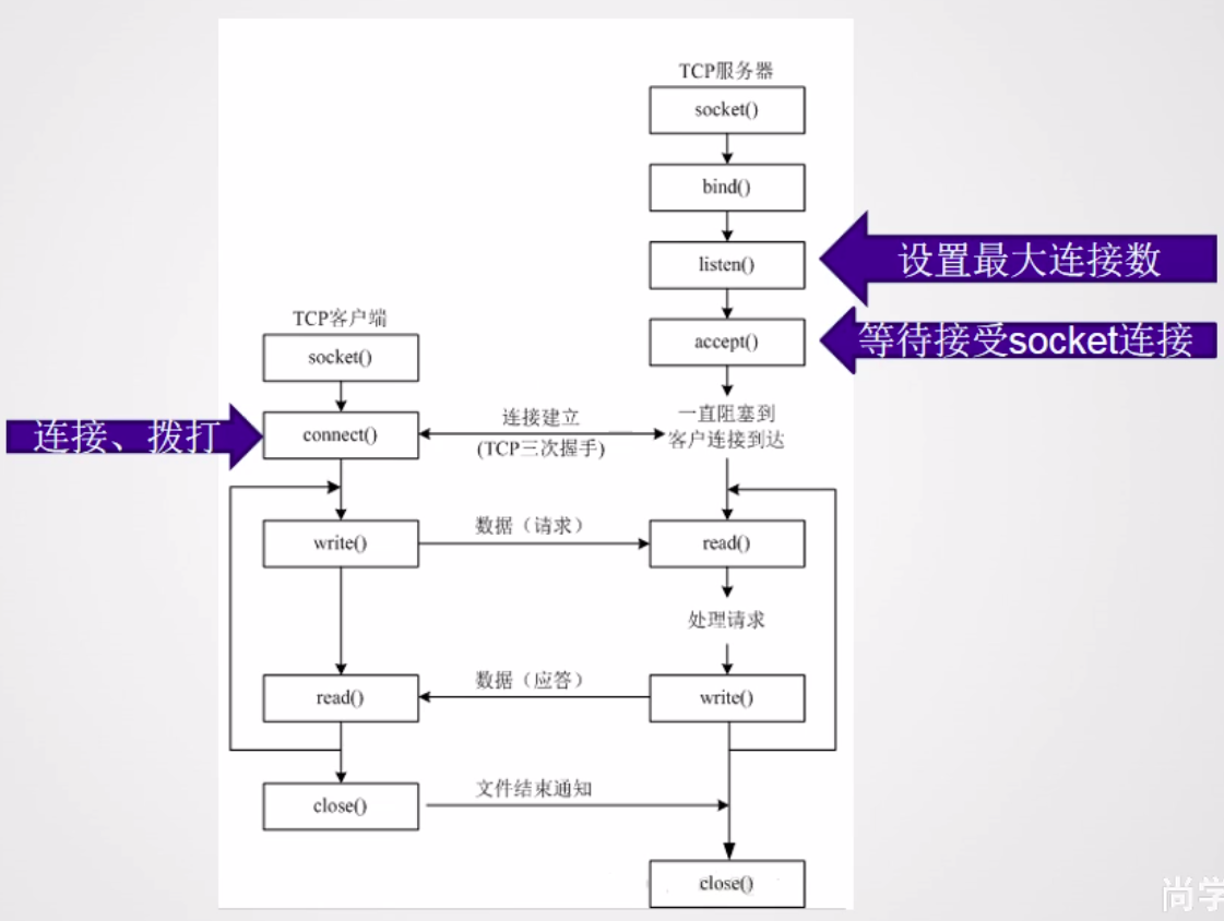 TCP C/S模型