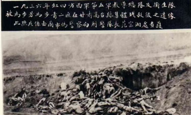 微信图片_20240819185455.jpg