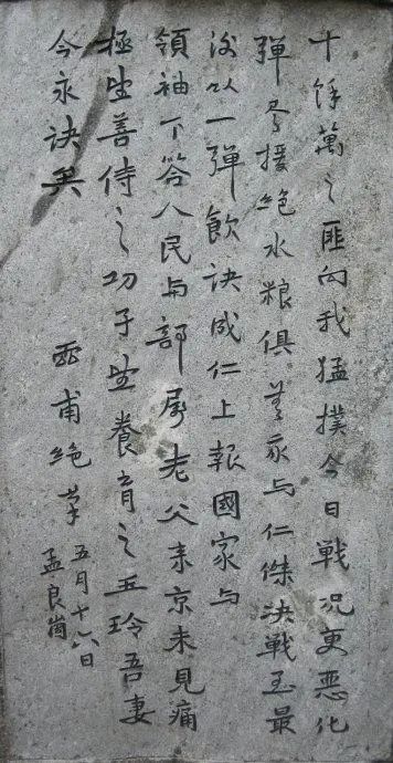4534535.webp